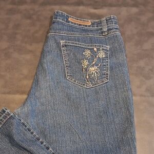 COS Blue Flare Jeans with Floral Embroidery